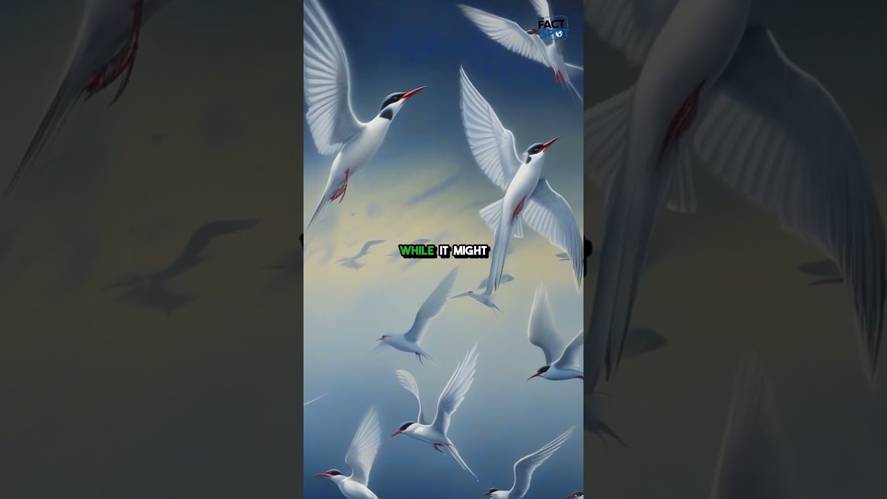 The Earth's Magnetic North Pole Is Racing Toward Siberia—Here's Why It Matters