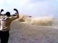 قصيدة سيارة الاده