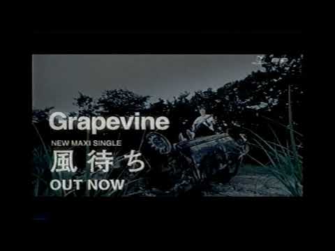 【懐かしいCM】GRAPEVINE（グレイプバイン）「風待ち」 2001年　Retro Japanese Commercials