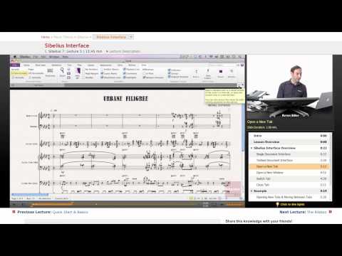 Sibelius: Interface