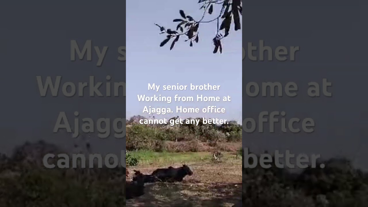 Dry season in Ajagga. Oyam District Northern Uganda
