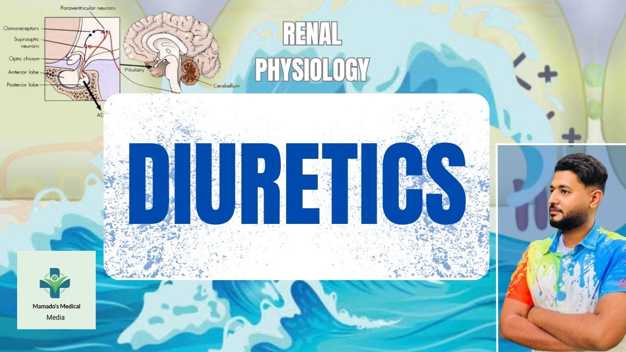 💊 Diuretics  | شرح