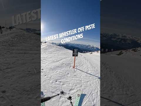 I skied down Whistler Bowl so you could see how brutal it is at the moment 🥶. #skiing #whistler