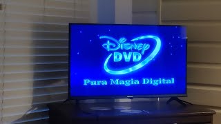 Opening To Baby Bach Aventura Musical 2005 Mexican Dvd 20078 Reprint