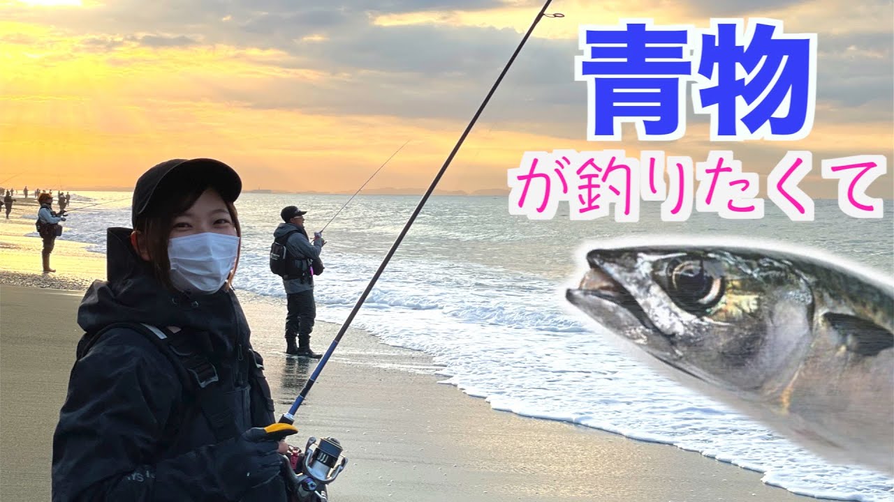 そろそろ青物が釣りたくてベイトだらけのサーフへ Youtube