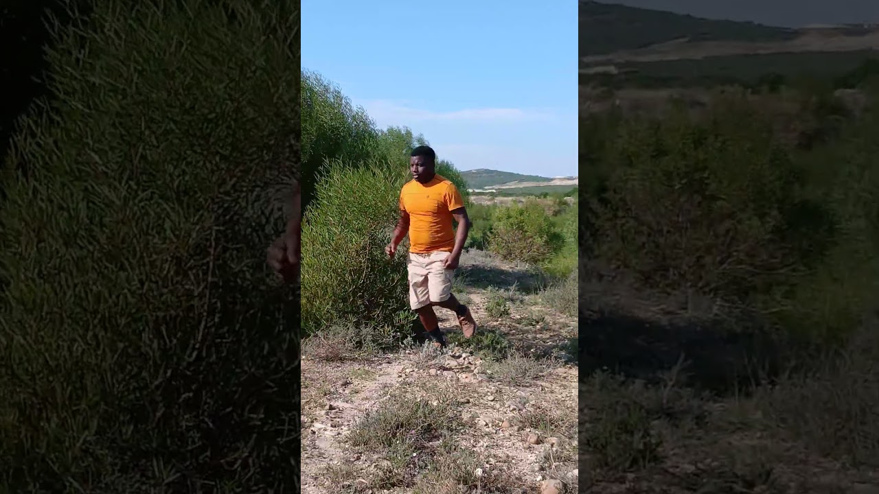 Doing Physical Exercises for the Love of Nature 