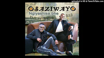 Osaziwayo-Usizi