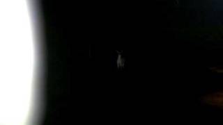 November 14, 2010 9:20 PM
