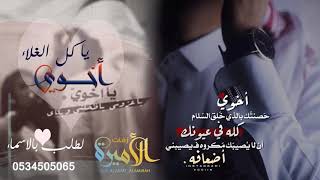 شيلة مدح للاخ 2020 || اخوي يا كل الغلا || شيلة اهداء للاخ من اخته طربيه تجنن