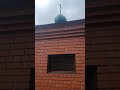 купель Тюнинский монастырь, Задонск