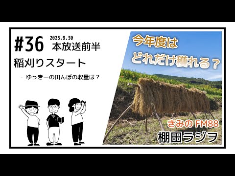【棚田ラジヲ】　#36　前半　稲刈りスタート!!　【紀美野町 中田の棚田再生プロジェクト】