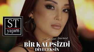 Şebnem Gürbüz - Bir Kalpsizdi Diyeceksin Resimi