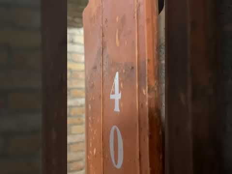 Arche Dwór Uphagena