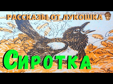 Сиротка — Рассказ | Георгий Скребицкий | Аудио рассказ | Рассказы для детей