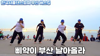 한국셔플댄스협회 KSDA 부산 버스킹ㅣ첫번째 팀ㅣ삐약이 부산 날아올라