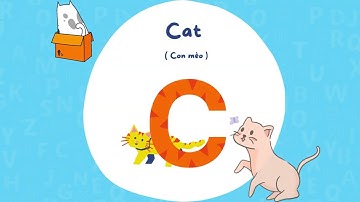 🌟BÀI HÁT ABC SONG | BẢNG CHỮ CÁI TIẾNG ANH | VUI HỌC CÙNG BÉ | CA NHẠC THIẾU NHI VUI NHỘN🌟