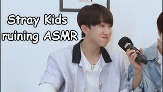 Stray Kids Ruining Asmr For 6 Minutes And 41 Seconds