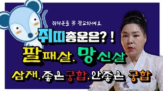 쥐띠분들 꼭 알고 가세요? 삼재.좋은궁합.안좋은궁합.일이 안풀때 비방법