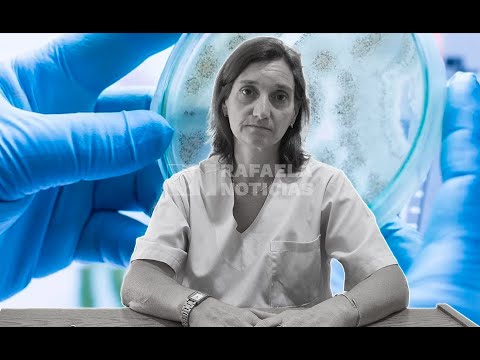 Candida auris: qué es y cómo se contagia el "superhongo" por el que ya alertó la OMS
