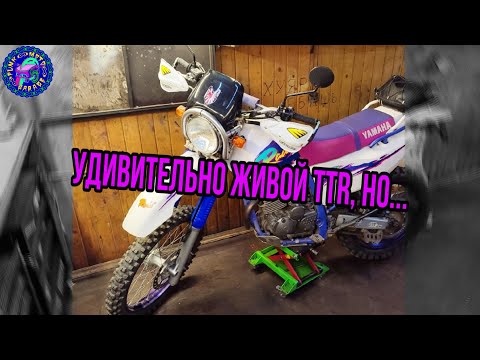 Лучший TTR 250