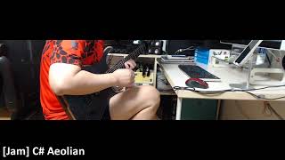 [Jam] C# Aeolian