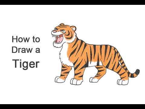 how to draw a tiger roaring