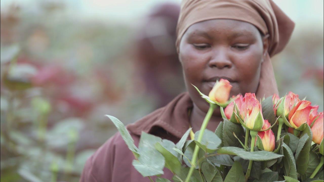 Have you ever wondered how fresh flowers are transported by air? YouTube