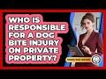 Who Is Responsible For A Dog Bite Injury On Private Property? - Personal Injury Law Gurus