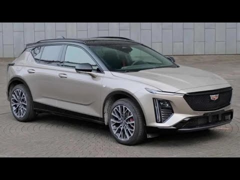 All New 2024
