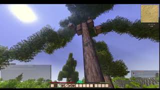 VS Director Replay Fix: Trees Now Fall Correctly