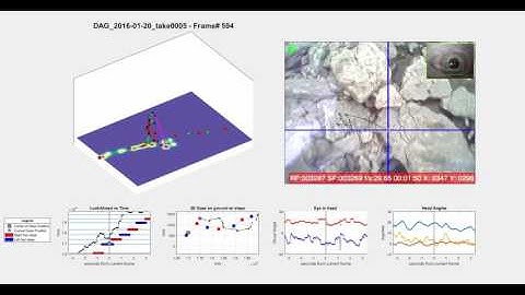 Gaze and Gait when walking in rough terrain