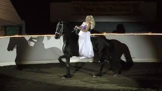 Equine Affaire 2019 Fantasia -Transformations