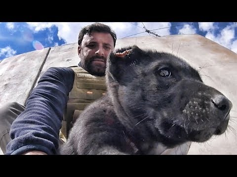 Rescuing Abused Puppies from Afghanistan Rescuing Abused Puppies from Afghanistan