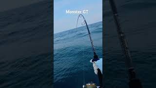 Captured GT #gtfishing #fishing #fish