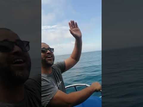 ولا تري للأعادي قط ذلا فإن شماتة الأعداء بلاء