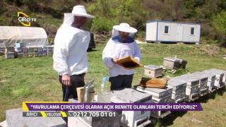 Arıcı - Arı Kovanına Petek Nasıl Verilir?