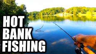 How To Catch Fish From The Bank When Its HOT!