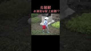 #northkorea #북한 #ガーデニング #北朝鮮 何のために?