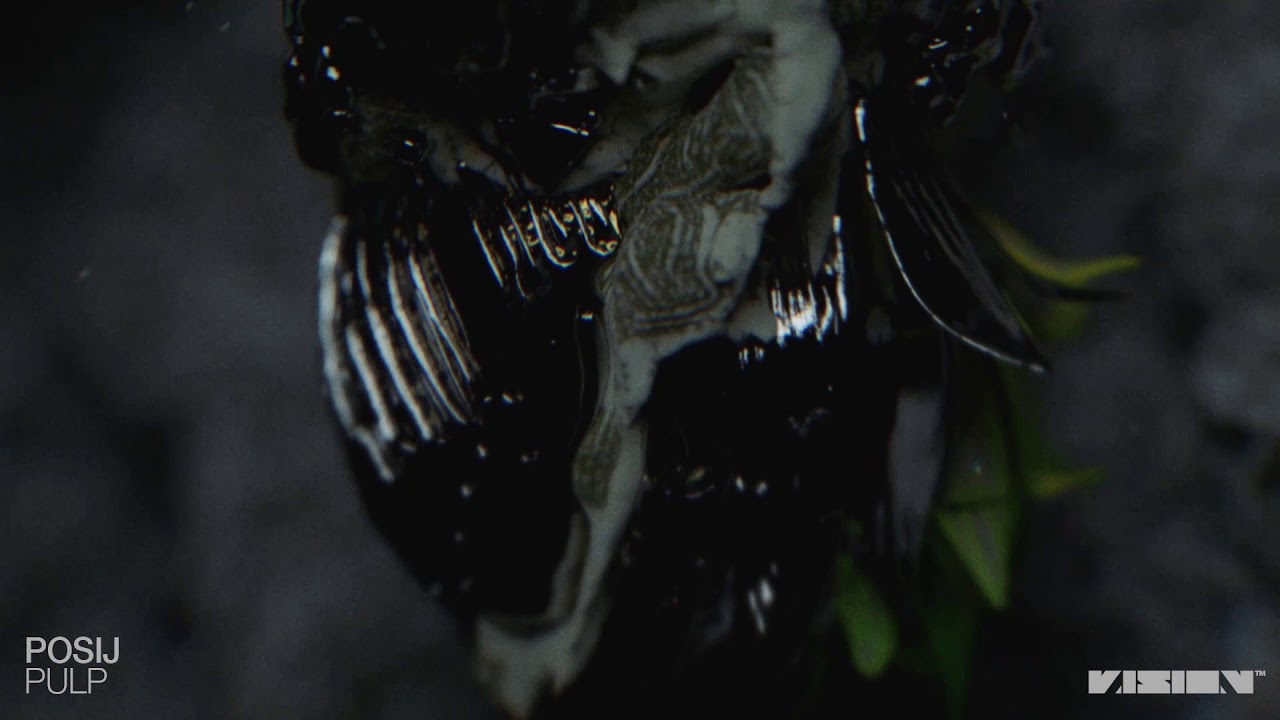 Guarda Posij - Alien Dweep su YouTube Guarda Posij - Alien Dweep su YouTube