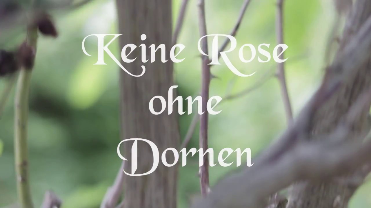 Keine Rose Ohne Dornen Keine Rose ohne Dornen - YouTube