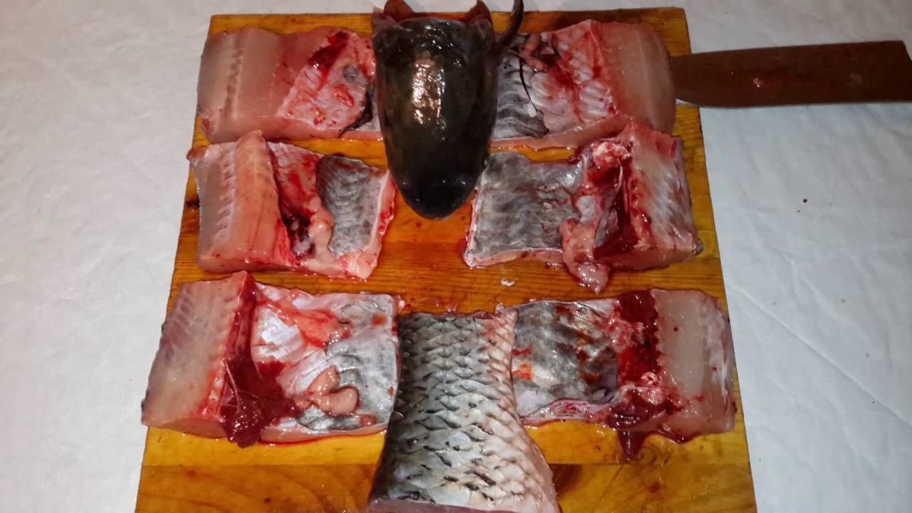 Готовлю белого амура