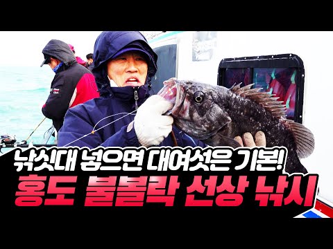 홍도 바다에서 즐기는 불볼락 선상낚시! 손맛이 기가막히네👍🏻 #불볼락 #홍도 #선상낚시 #홍도선상낚시 #전국시대