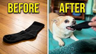 Bubby’s Sock Power Struggle!