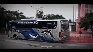 story wa bus sugeng rahayu princes style