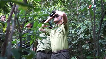 Công tác quản lý, bảo vệ và phòng cháy, chữa cháy rừng | 21-5-2025 | QRT