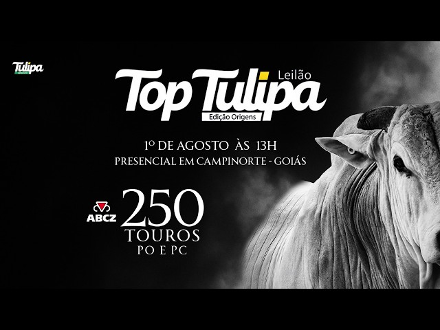 LOTE 07   APKT 680