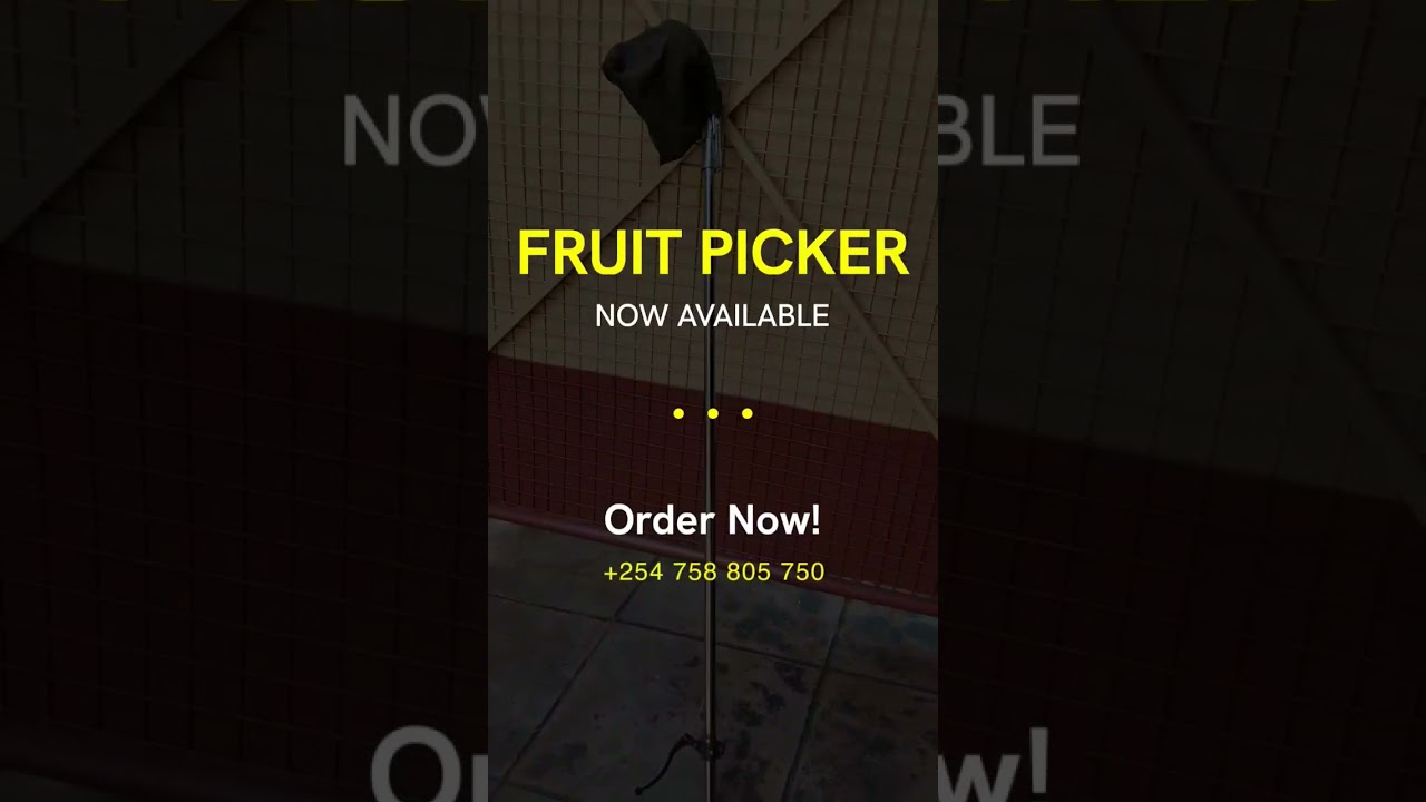 Fruit Picker for Avocados, Mangoes, Apples, and other fruits.