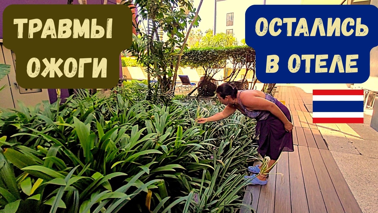 ПОЛУЧИЛИ ТРАВМЫ/ТЕПЕРЬ ТОЛЬКО В ОТЕЛЕ