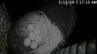 MN-warner-eaph-20090515.mp4