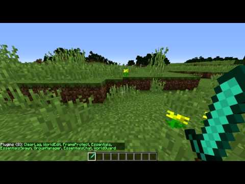Minecraft Server's 1.8 Essentials problem Resolved